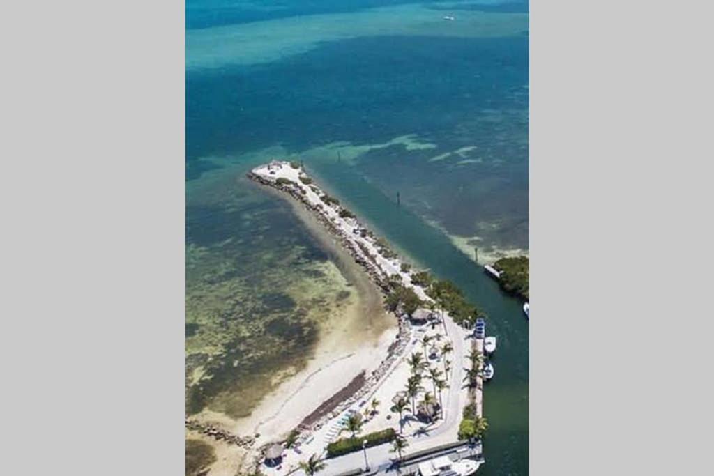 Licensed Mgr - 2/2 Villa - Oceanfront Beach Resort - Saltwater Lagoon & Marina! キーラーゴ エクステリア 写真